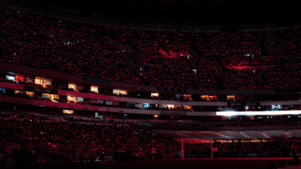 Remote controlled LED wristband for concert Remote controlled LED wristband for concert